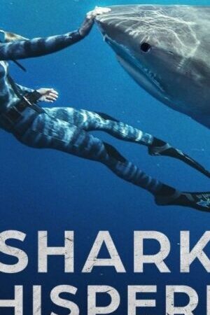 Xem phim Người Bạn Của Cá Mập  - Shark Whisperer (2025)