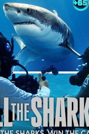 Xem phim Đi Tìm Cá Mập  - All The Sharks (2025)